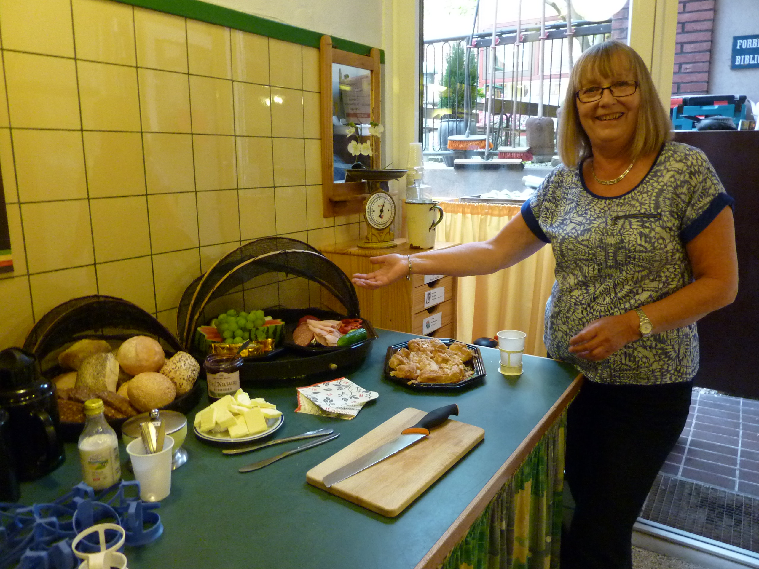 15 1529 Lumix Dampen 130615